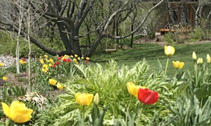 Spring in Steamboat Springs, Colorado