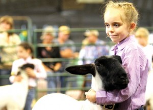 Routt County State Fair