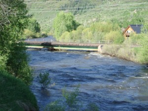 Yampa River in June