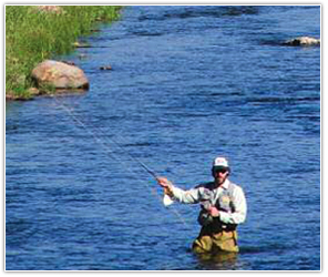summer Steamboat Springs Fly Fishing