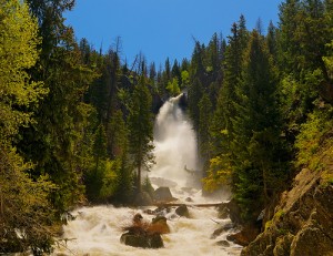 Fish Creek Falls In Spring