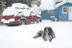 Photo By John f. Russell, Steamboat Today, 2/21/12