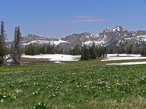 Mount Zirkel Wildnerness Area Near Steamboat Springs