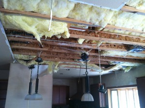 Water Damage in Sanctuary Foreclosed home