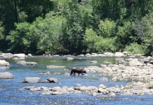 Low Flows on the Yampa River