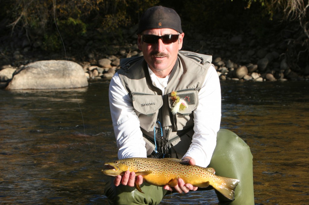 Brown Trout in Steamboat Springs