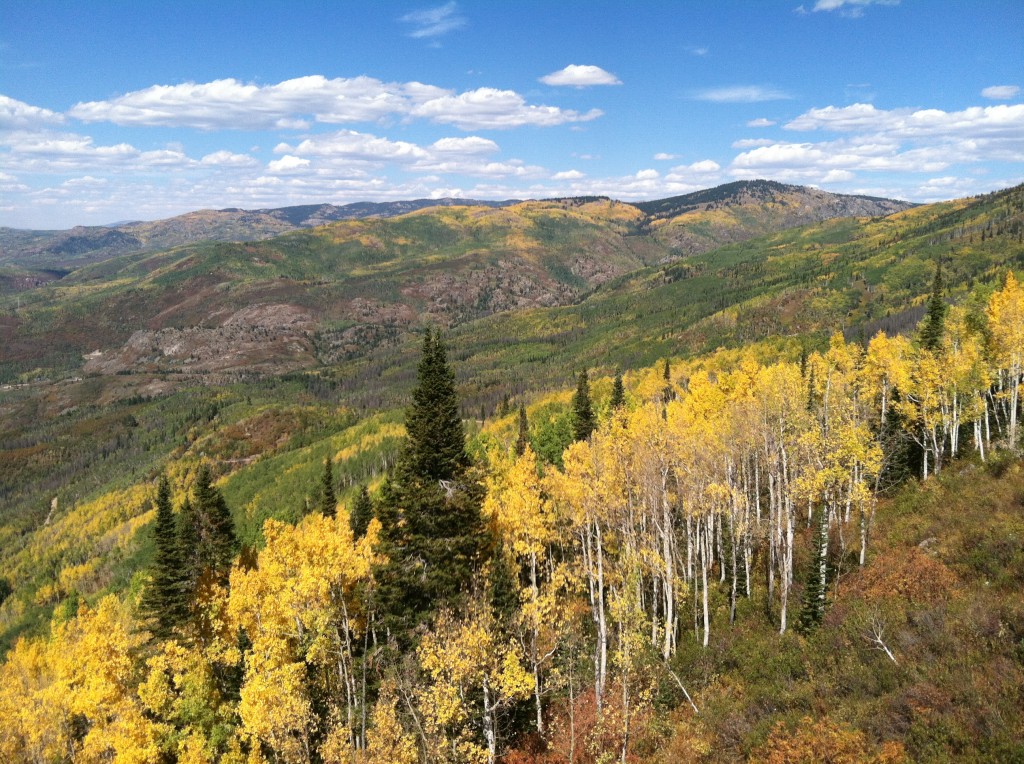 View from Mt. Werner