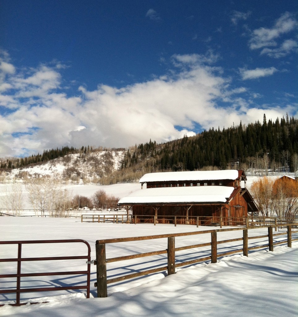 Ranch for sale in Steamboat Springs