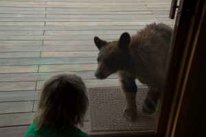 Cub meets cub! My son Finn and cub, May 2013