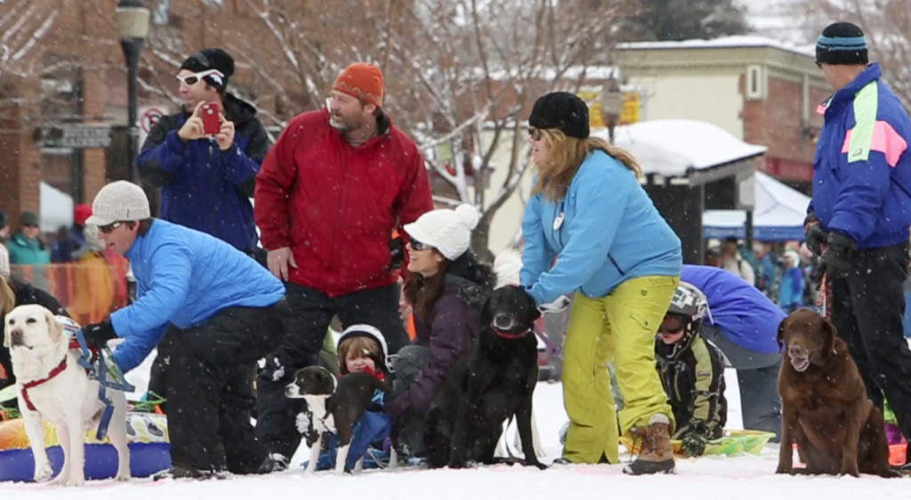 Dog Town, USA