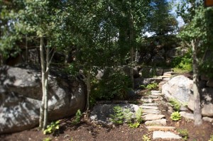 Meandering pathway nestled among boulders and aspens.