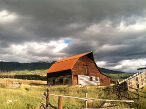 Steamboat Market Report