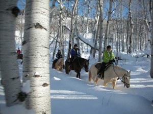 Winter horseback riding