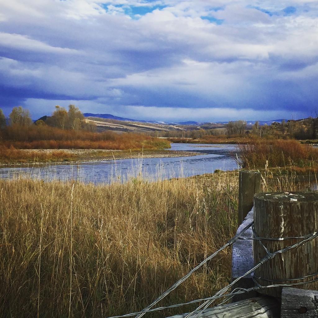 Yampa Valley Fall Colors