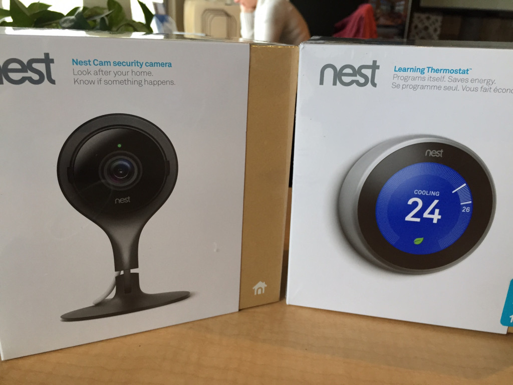 Nest Photo