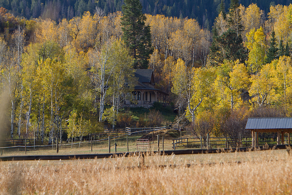 Main homestead nestled amongst the aspens